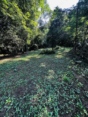 Teren intravilan la munte, intre Buru si Rimetea,  zona de cabane - imagine 9