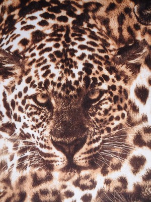 Colanti lungi dama tigri leoparzi pantalon femei animal print - imagine 6