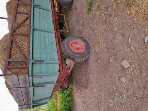 Vând culegătoare de porumb - imagine 9