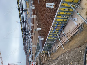 Urgent fierari pentru germania - imagine 4