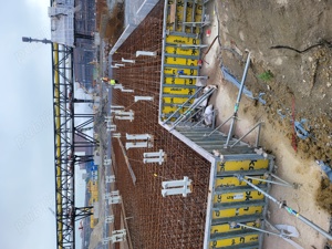 Urgent fierari pentru germania - imagine 3