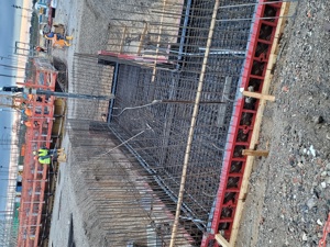 Urgent fierari pentru germania - imagine 2