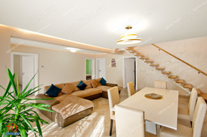 285.000 Euro- Vila 5 dormitoare, complet mobilata si utilata in Sat Costi-zona Floricultura - imagine 4