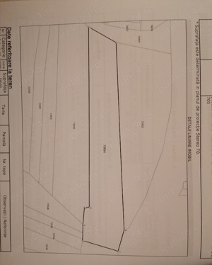Vand teren 2534 m2 în Tăuți  - imagine 5