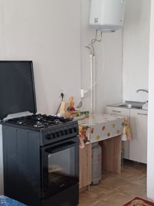 Ofertă! Cazare 950 lei, plus consumul electricității, zona București, comuna Domnesti.  - imagine 5