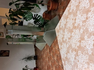 fac hote pe comanda - imagine 6