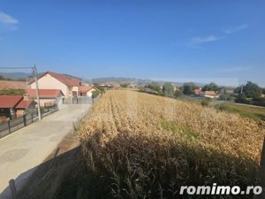 Casa individuala la rosu, 6 camere, teren 4900 mp, Vintu de Jos - imagine 3