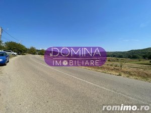 Vânzare teren intravilan situat în Bălănești - la 1 km distanță de DN 67 - imagine 6