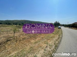 Vânzare teren intravilan situat în Bălănești - la 1 km distanță de DN 67 - imagine 5