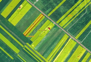 teren intravilan Fantana Mare 3600 mp - imagine 2