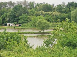 Teren de vânzare în Periș (LAC), Ilfov - 960 mp, urbanism,posibilitate construcție P+1E +M. - imagine 9