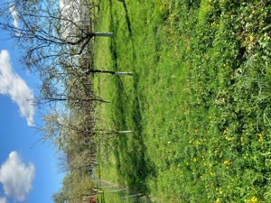 Vind teren intravilan 