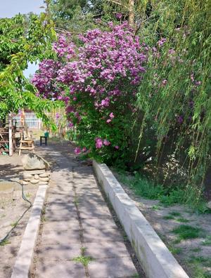 vand proprietate - imagine 2