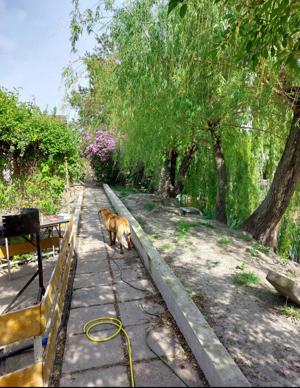 vand proprietate - imagine 5