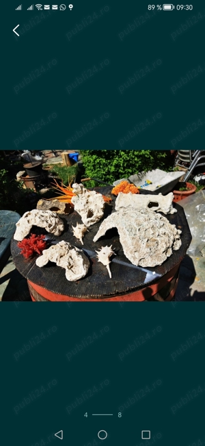 Vand accesorii acvariu noi sau in stare buna - imagine 3