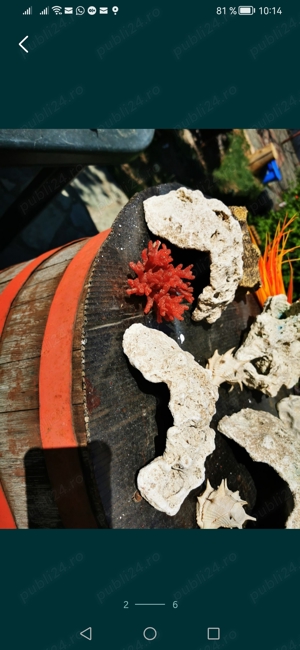 Vand grote decorative ot acvariu - imagine 2