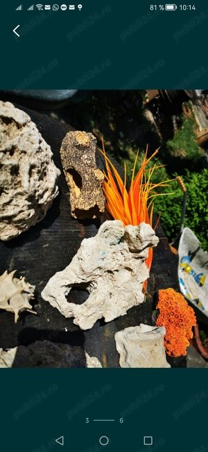 Vand grote decorative ot acvariu - imagine 3