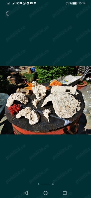 Vand grote decorative ot acvariu - imagine 4