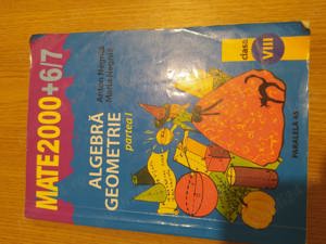 Algebra geometrie clasa a VIII-a, partea I - A. Negrila