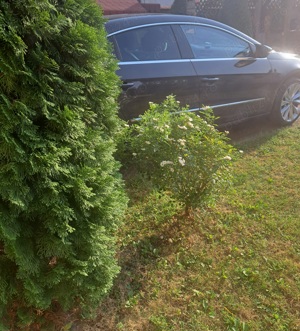 Vand Volkswagen CC 2014 luna a -05 - imagine 9