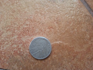 Vând moneda cu chipul lui Constantin Brâncoveanu 2001