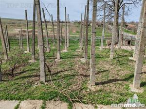 Casa renovata si teren generos Com Pantelimon Constanta - imagine 13