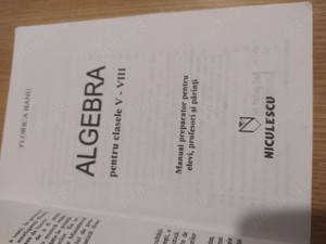Algebra pentru clasele V-VIII - Manual preparator pentru elevi, profesori si parinti - Florica Banu - imagine 2