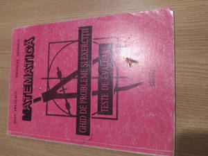 Matematica - Ghid de probleme si exercitii - teste de evaluare la matematica - clasa a VII-a