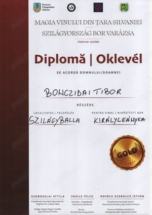Vând Vin Alb Rose și Roșu Calitate garantată prin medalii de aur în Bazinul Carpatic și Transilvania - imagine 4