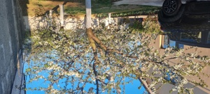 Casa Ulmi, Giurgiu, foarte aproape de Bucuresti - imagine 2