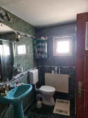 Vand casa Parter zona Cantemir -Posta, sc 170 mp , gaz , izolata, ter 341 mp - imagine 12