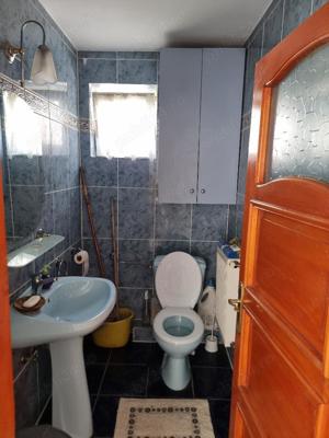 Vand casa Parter zona Cantemir -Posta, sc 170 mp , gaz , izolata, ter 341 mp - imagine 16