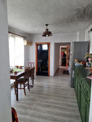 Vand casa Parter zona Cantemir -Posta, sc 170 mp , gaz , izolata, ter 341 mp - imagine 15