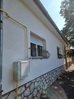 Vand casa Parter zona Cantemir -Posta, sc 170 mp , gaz , izolata, ter 341 mp - imagine 3