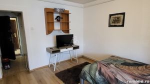 Apartament 1 Camera, De Vanzare, Aleea Carpati - imagine 2