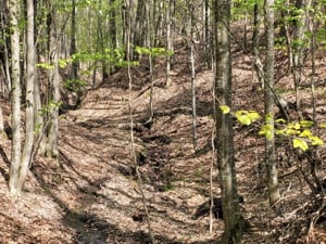 De vânzare terenuri intravilane panoramice în zona de recreere Pârâu Sate Mare in jud HR - imagine 4