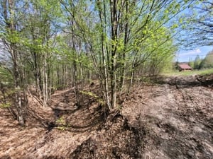 De vânzare terenuri intravilane panoramice în zona de recreere Pârâu Sate Mare in jud HR - imagine 5