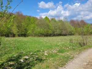 De vânzare terenuri intravilane panoramice în zona de recreere Pârâu Sate Mare in jud HR - imagine 10