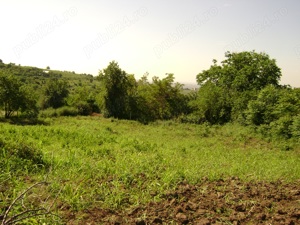 Teren intravilan Tohani  parcelabil  utilități   preț negociabil - imagine 4