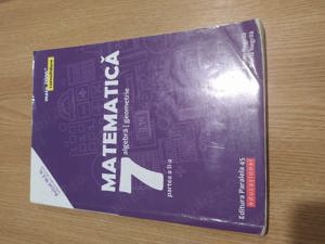 Matematica. Algebra, geometrie. Clasa a VII-a. Consolidare. Partea a II-a - A. Negrila