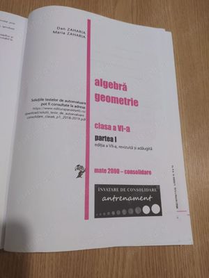 Matematica. Algebra, geometrie. Clasa a VI-a. 2019-2020 Consolidare. Partea I - D. Zaharia - imagine 2