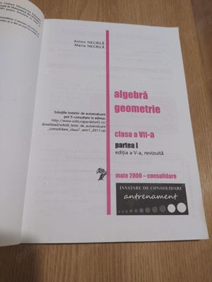 Matematica. Algebra, geometrie - Clasa a VII-a. Partea I. Semestrul I - Anton Negrila - imagine 2