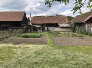 Vand casa, curte si teren mare in Ocna Sibiului, sau separat - imagine 5