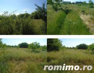 Teren Intravilan cota 3/16 Giurgiu, ID: R2115902 - imagine 4