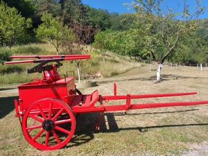 Pompa de stins incendii rustica-obiect de decor  colectie