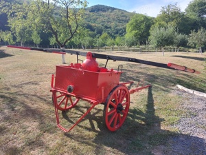 Pompa de stins incendii rustica-obiect de decor  colectie - imagine 4