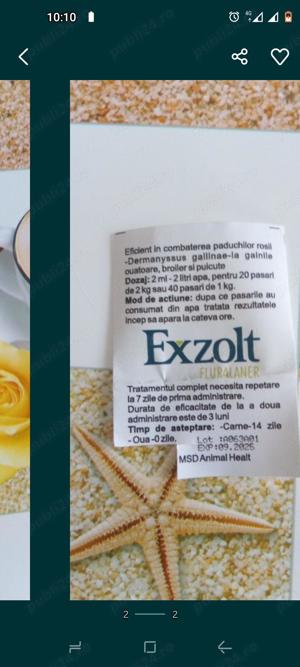 Exolt soluție păduchi 