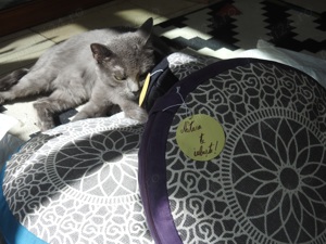 Vanzare   Sale - Perne Pard de meditatie - imagine 2