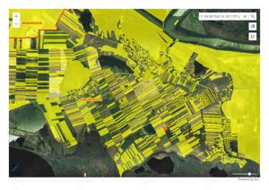 Dunavatu de Sus teren extravilan - 2,3Ha 4.500 ha direct de la proprietar - imagine 4