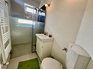 AA 1000 De închiriat apartament cu 1 cameră în Tg Mureș - Ultracentral - imagine 2